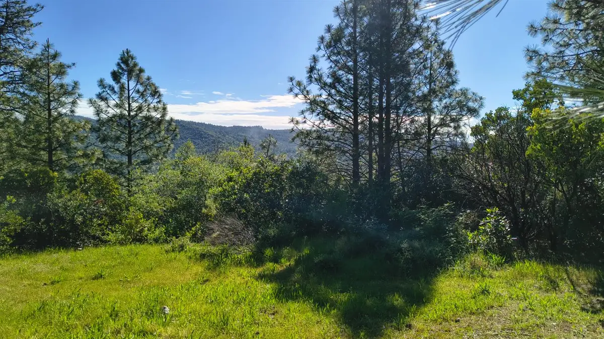 10141 Clark Ranch Way, Dobbins, CA 95935 - #1
