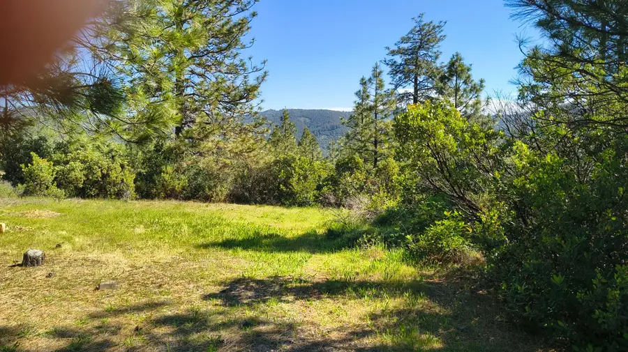 10141 Clark Ranch Way, Dobbins, CA 95935 - #3