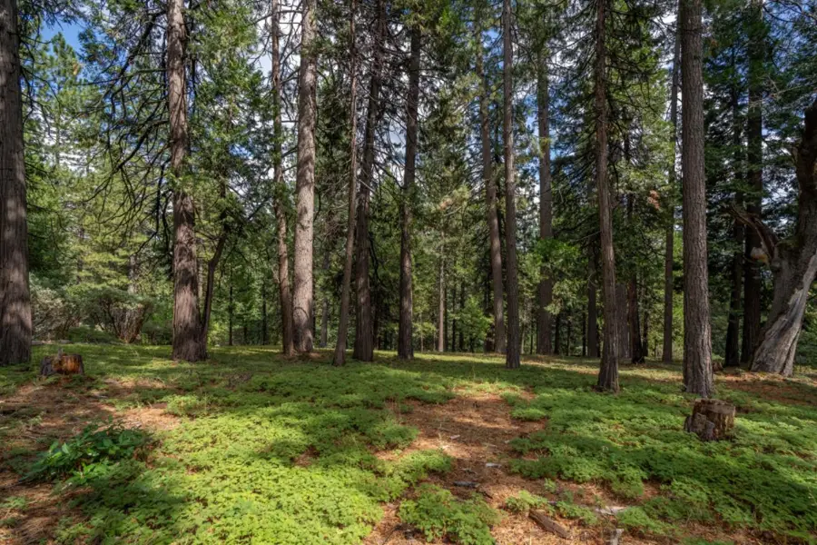 27460 State Highway 88, Pioneer, CA 95666 - #3