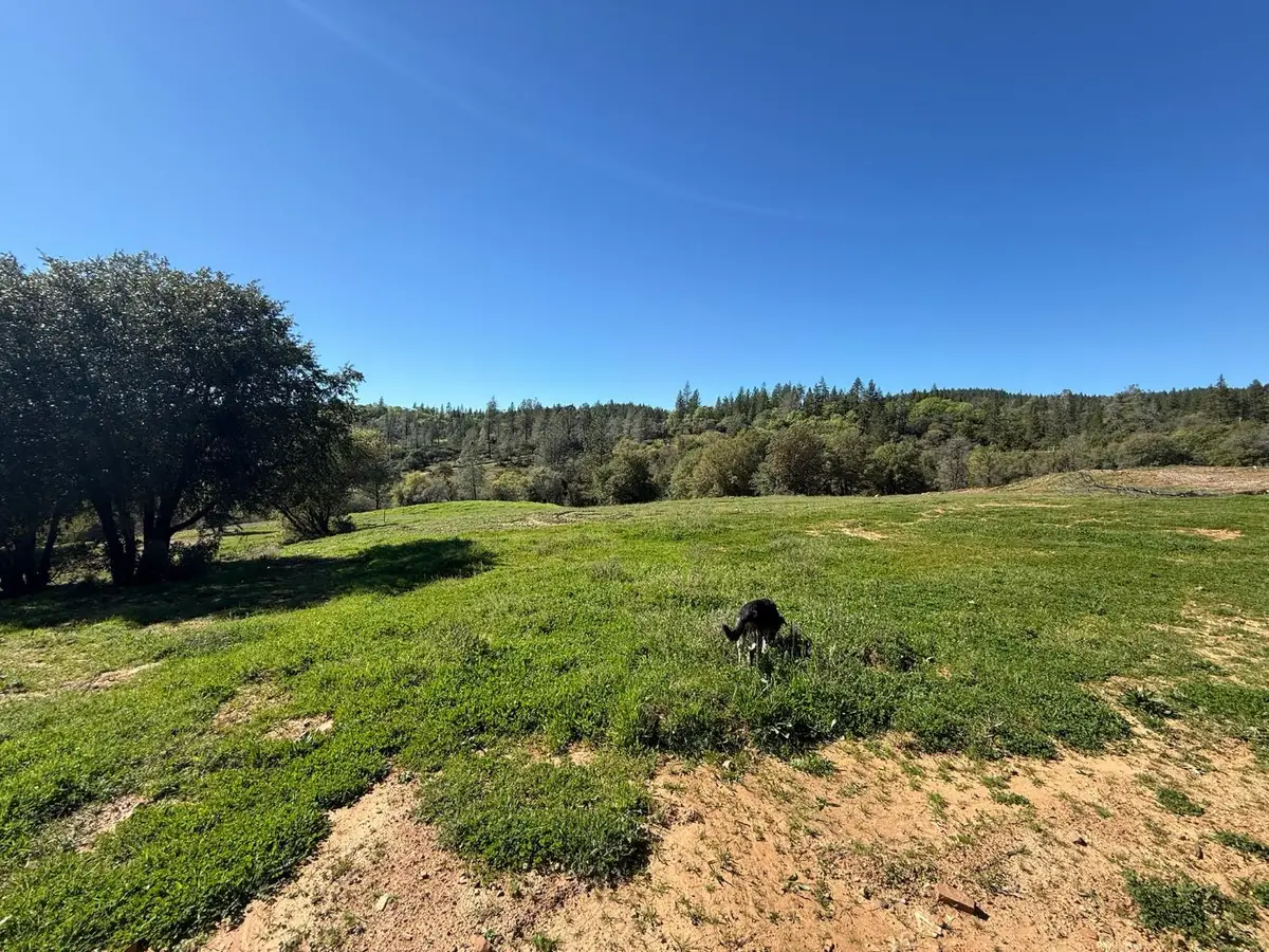 0 Greenbush Rd, Forbestown, CA 95941 - #1