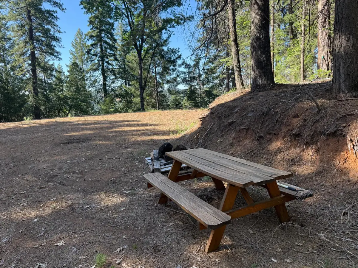 28087 Rolling Hills Road, Pioneer, CA 95666 - #1