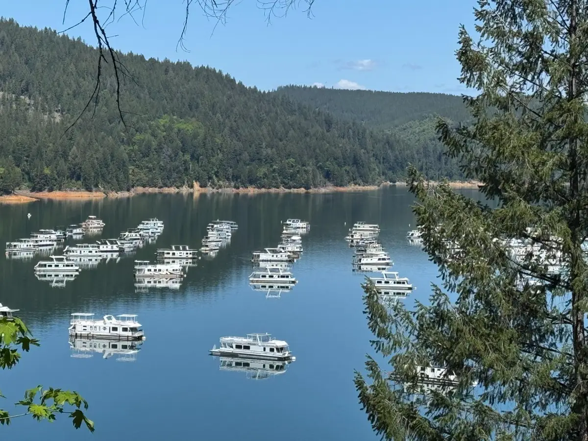 13071 Moonshine Road, Camptonville, CA 95922 - #1