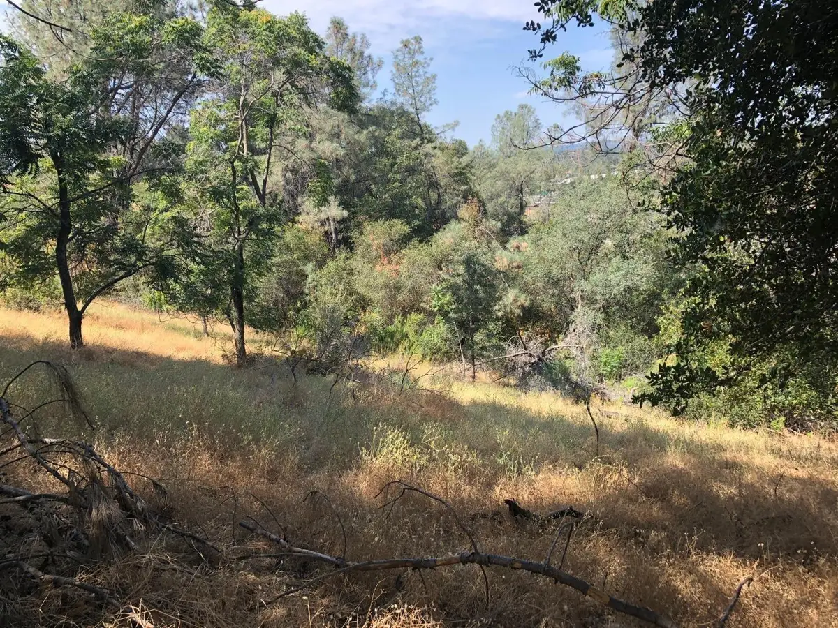 3075 Gold Nugget Way, Placerville, CA 95667 - #1