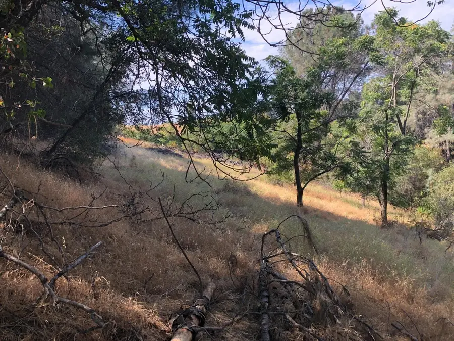 3075 Gold Nugget Way, Placerville, CA 95667 - #2