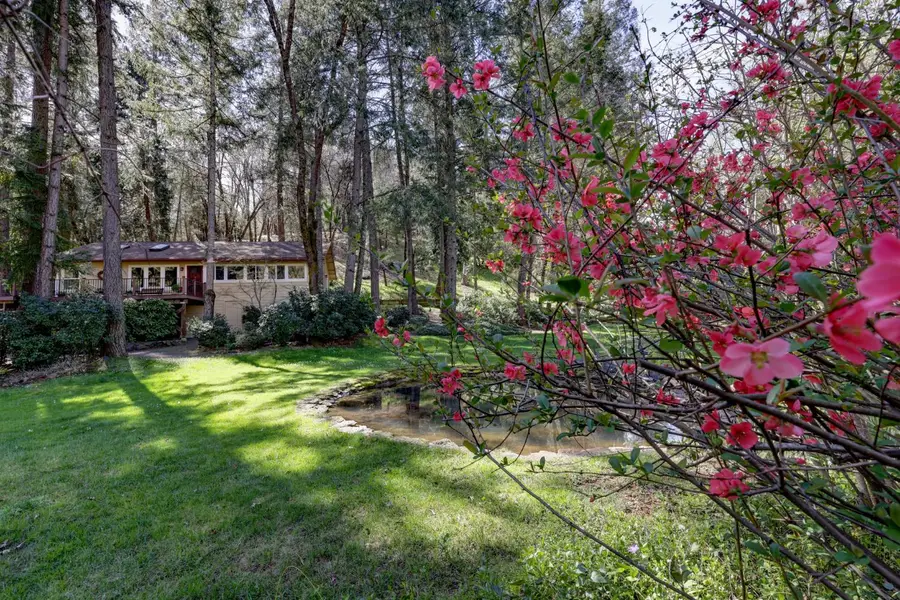 409 Live Oak Road, Colfax, CA 95713 - #3