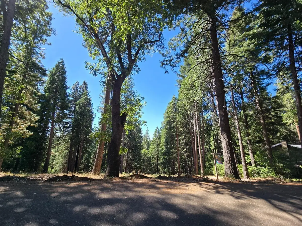 3224 York Court, Pollock Pines, CA 95726 - #1
