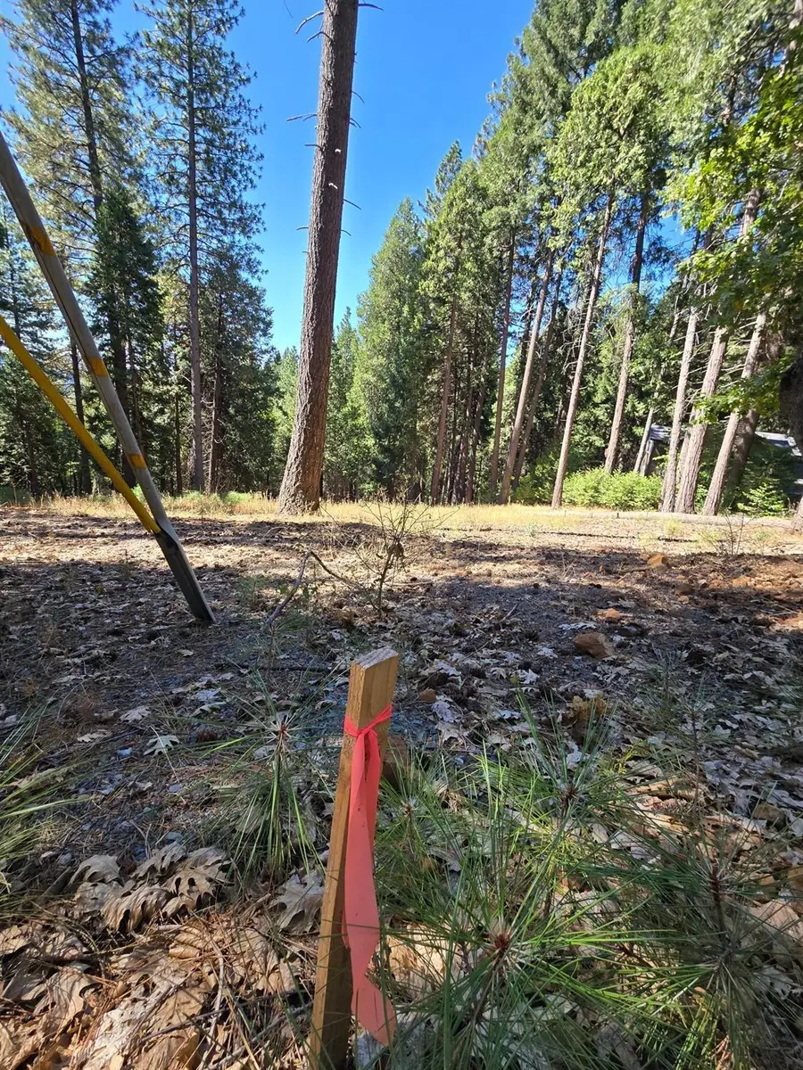 3224 York Court, Pollock Pines, CA 95726 - #3