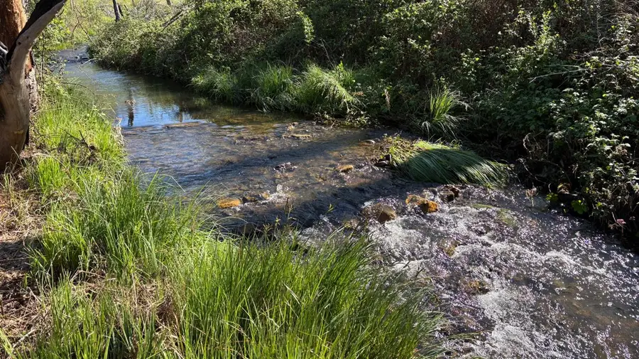 20976 Clydesdale Road, Grass Valley, CA 95949 - #2