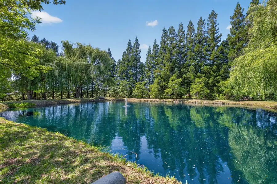 12212 Tavernor Trail Lane, Wilton, CA 95693 - #2