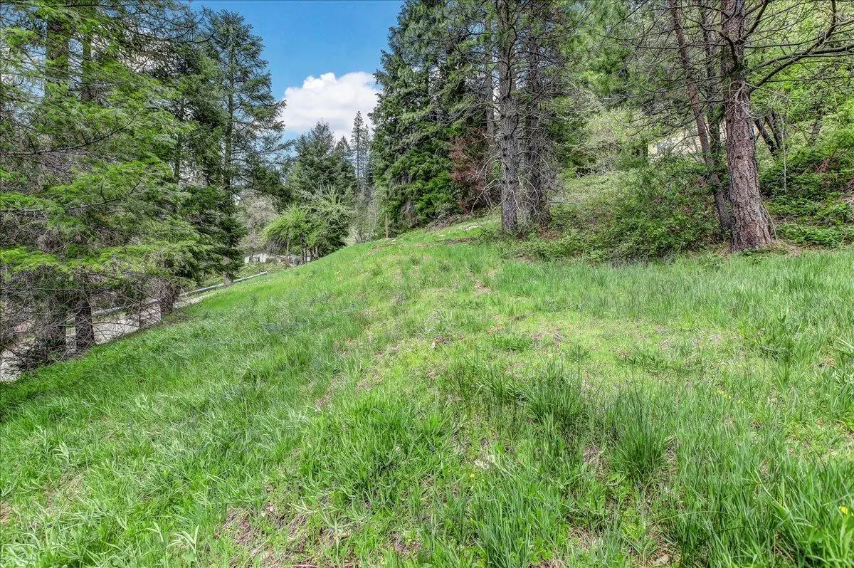 118 E. River St., Downieville, CA 95936 - #1