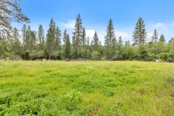 8692 Daken Circle, Brownsville, CA 95919