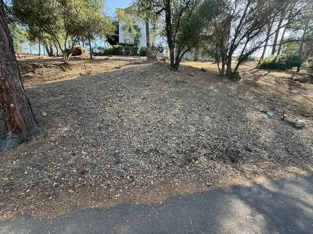 695 Foothill Road, Copperopolis, CA 95228 - #3