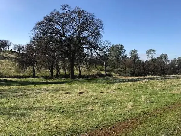 0 Lanford Pacheco Road, Valley Springs, CA 95252
