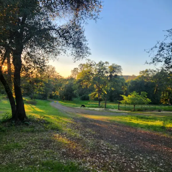 11541 Hernandos Hideaway, Penn Valley, CA 95946