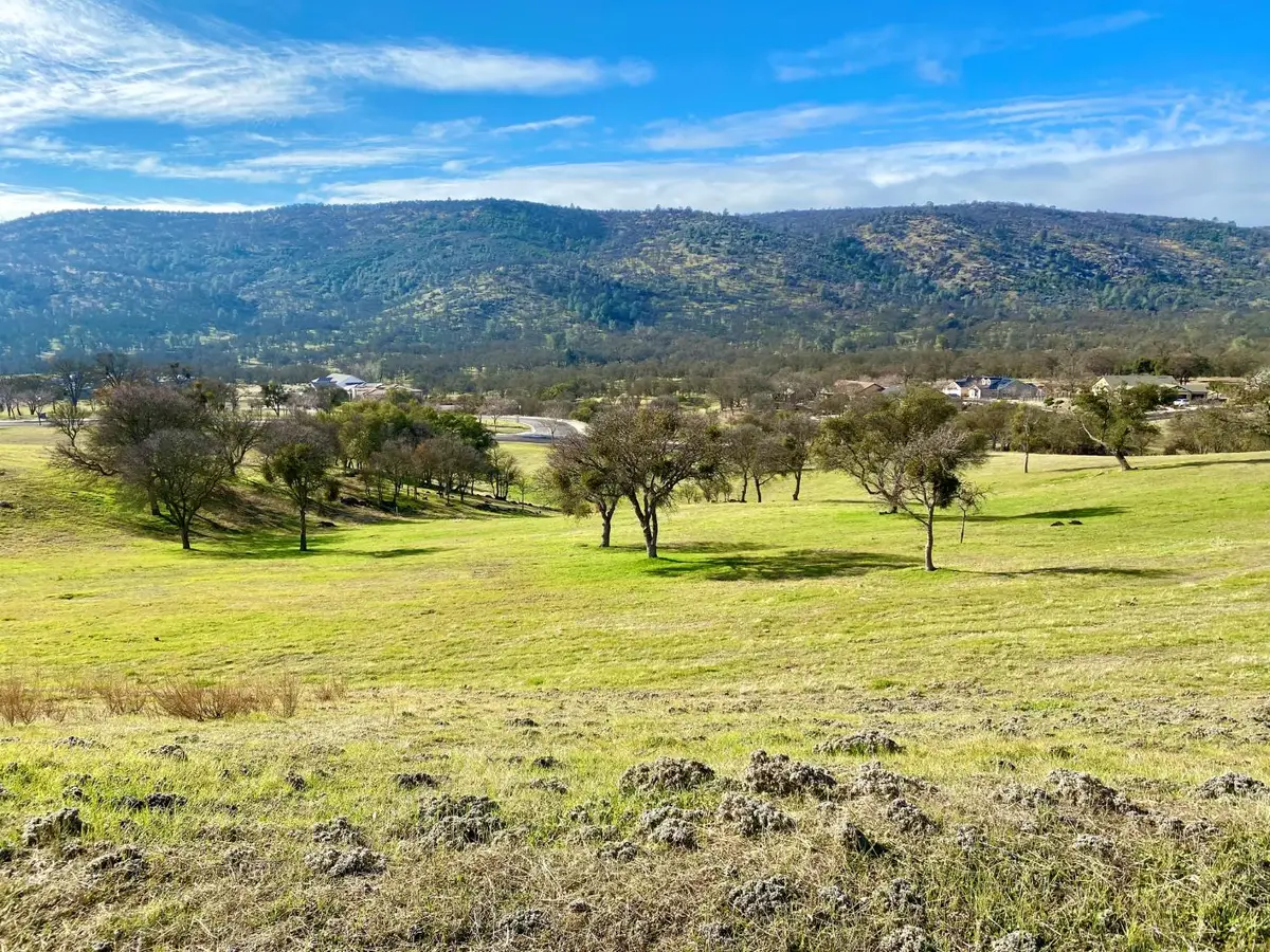 180 Hawkridge Road, Copperopolis, CA 95228 - #1