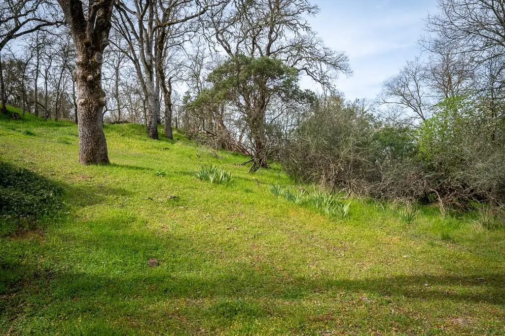 0 Boarman, Jackson, CA 95642 - #1