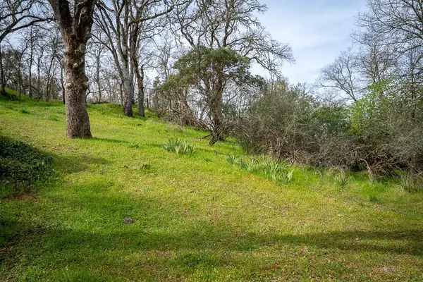 0 Boarman, Jackson, CA 95642