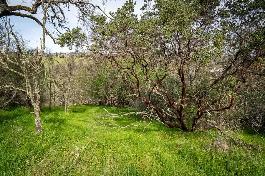 0 Boarman, Jackson, CA 95642 - #3