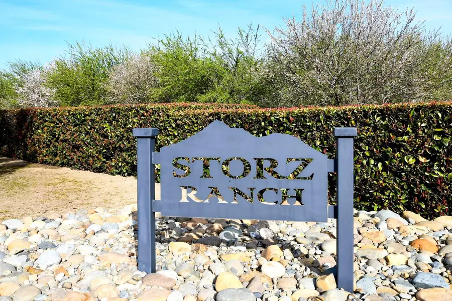 16750 County Road 96 B, Woodland, CA 95695 - #2