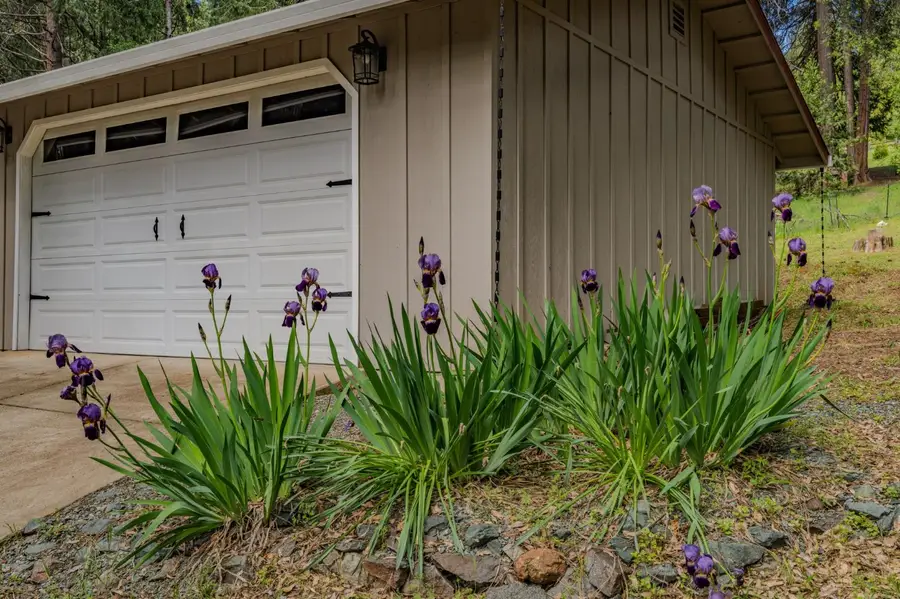 16425 Carolyn Way, Pioneer, CA 95666 - #3