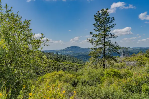 3155 Hawver Rd, San Andreas, CA 95249