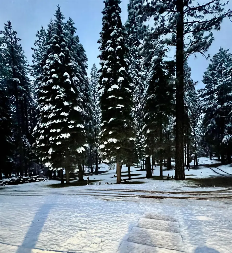 19380 Amador Avenue, Pioneer, CA 95666 - #3