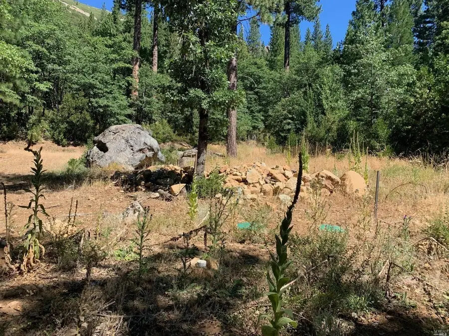 103 Lewis Ln., Sierra City, CA 96125 - #3
