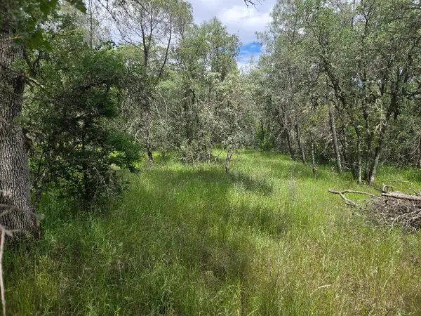 12729 Wolf Road, Grass Valley, CA 95949