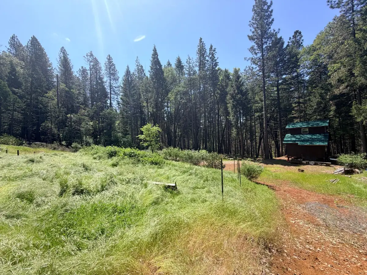 0 Roaring Ridge Rd, Montgomery Creek, CA 96065 - #1