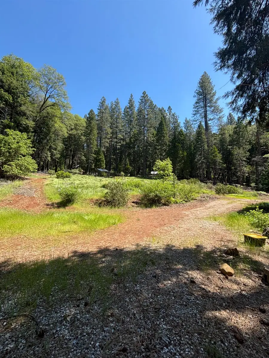 0 Roaring Ridge Rd, Montgomery Creek, CA 96065 - #2
