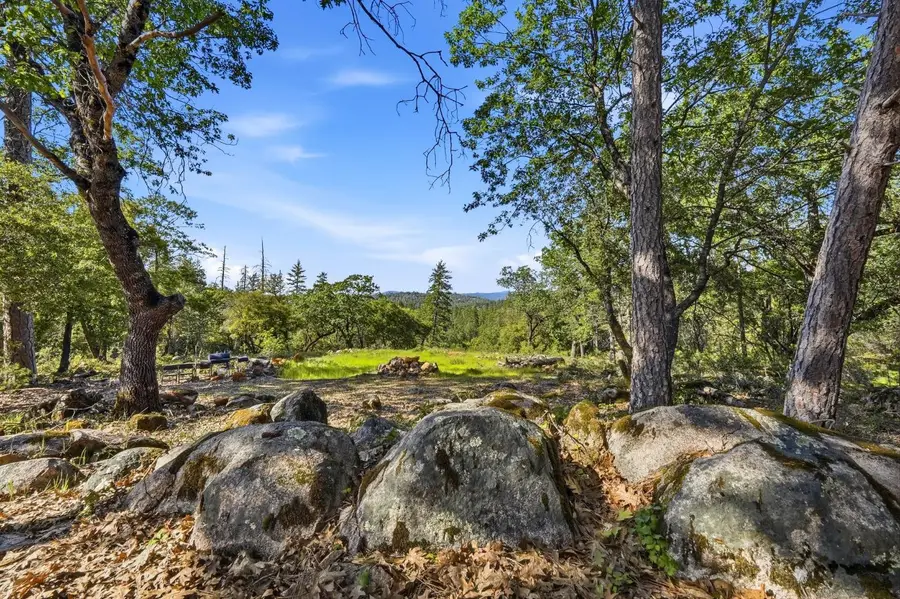 0 Bear Canyon Ct, Meadow Vista, CA 95722 - #2