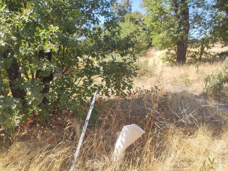 363 Raccoon Road, Berry Creek, CA 05016 - #2