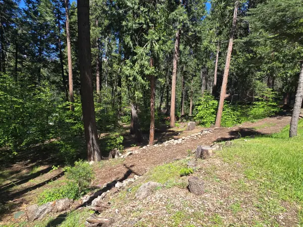 6771 Onyx Trail, Pollock Pines, CA 95726