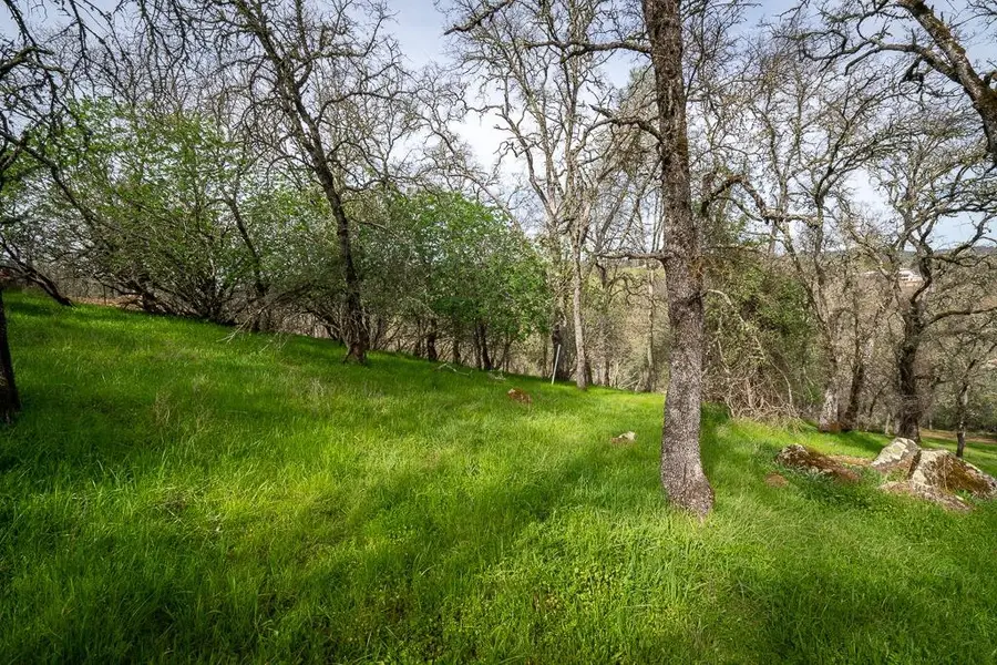 0 Kern Street, Jackson, CA 95642 - #3