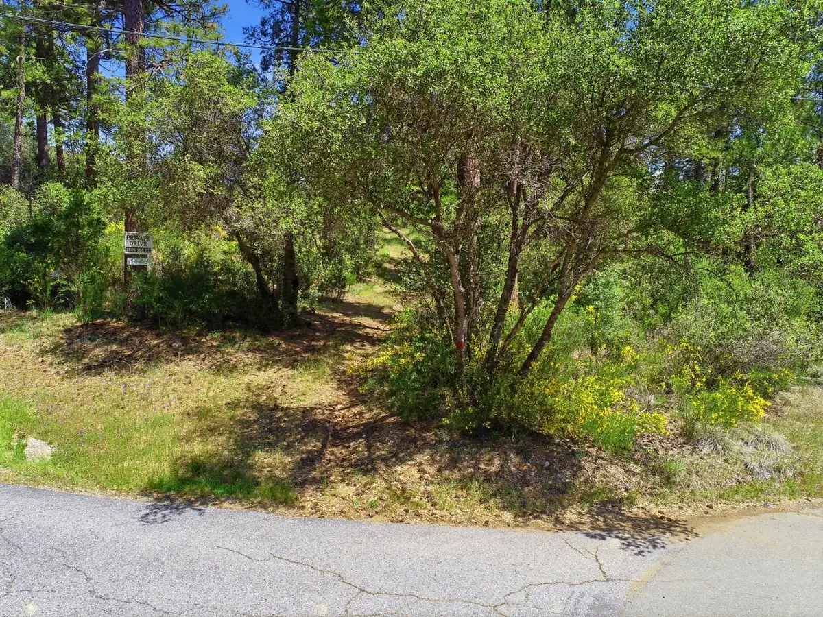14041 Lois Lane, Nevada City, CA 95959 - #1