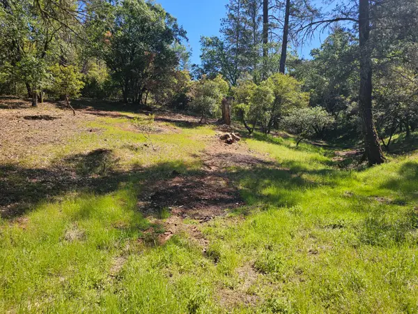 19730 Wedemeyer Place, Weimar, CA 95713