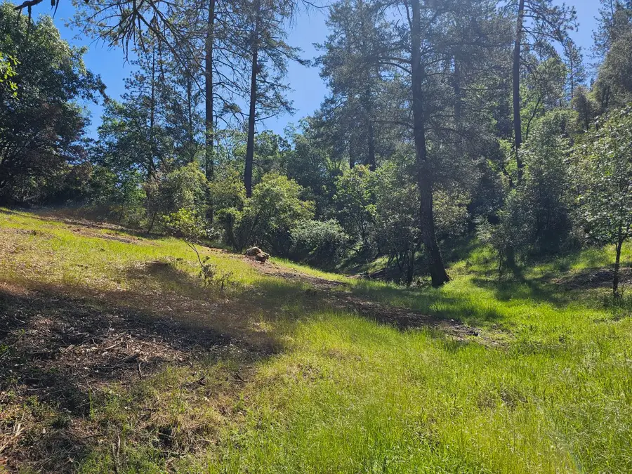 19730 Wedemeyer Place, Colfax Monumental Ridge, CA 95713 - #2