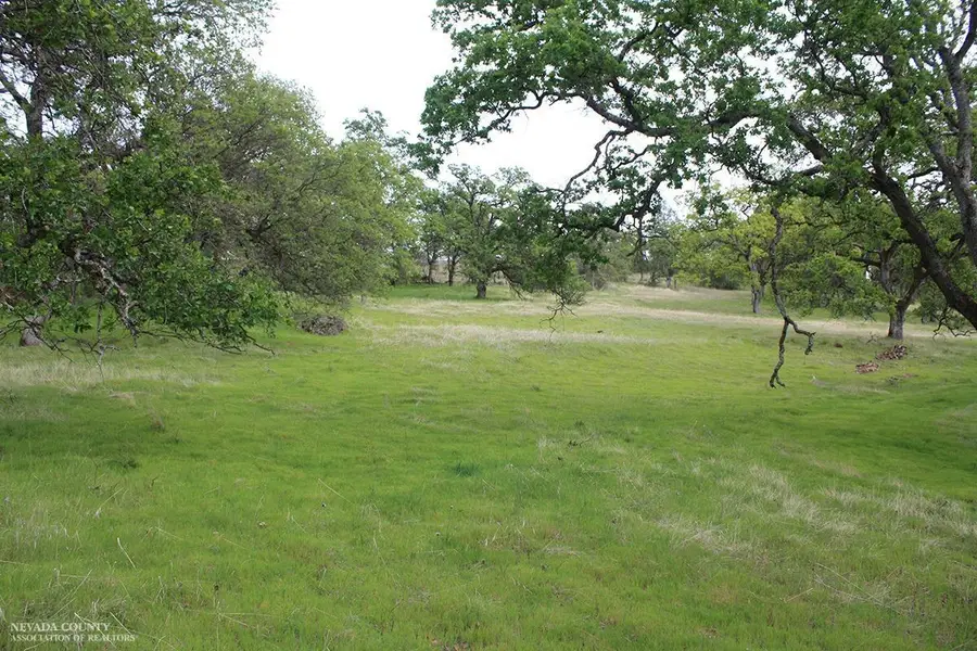 8584 Riverview Terrace, Smartsville, CA 95977 - #3