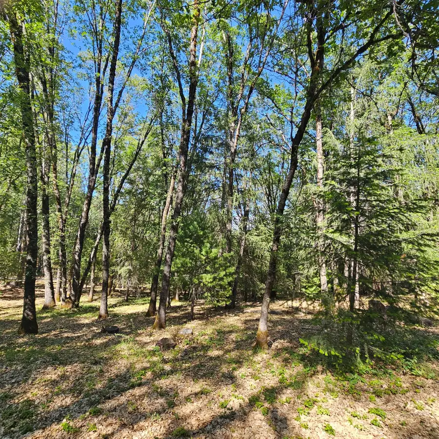 15367 Lakewood Lane, Grass Valley, CA 95945 - #2
