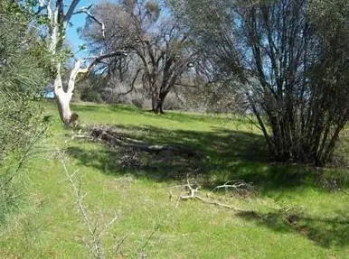 6866 Mosquito Road, Placerville, CA 95667