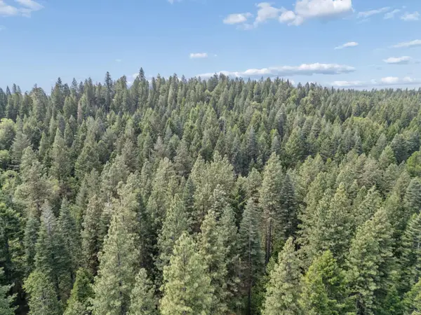 3354 Crocker Ranch Rd, Camino, CA 95709