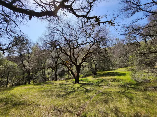 15255 Devon Court, Auburn, CA 95603