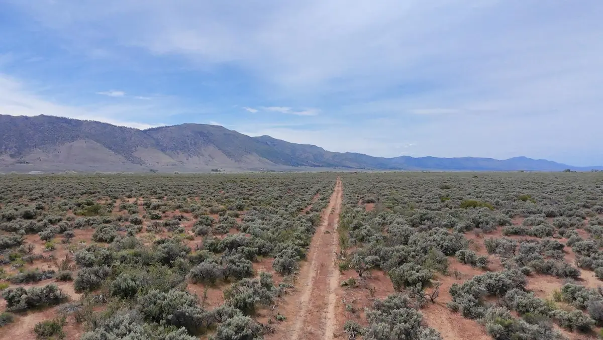 446 Honey Lake, Herlong, CA 96113 - #1