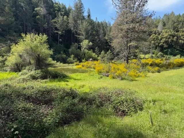 22460 Canyon Way, Colfax, CA 95713 - #1