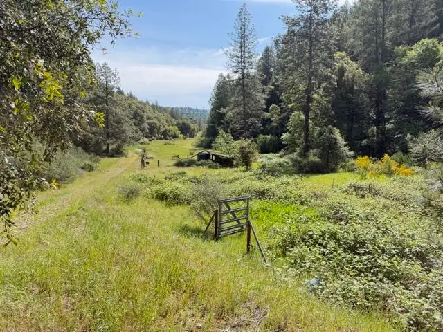 22460 Canyon Way, Colfax, CA 95713 - #3