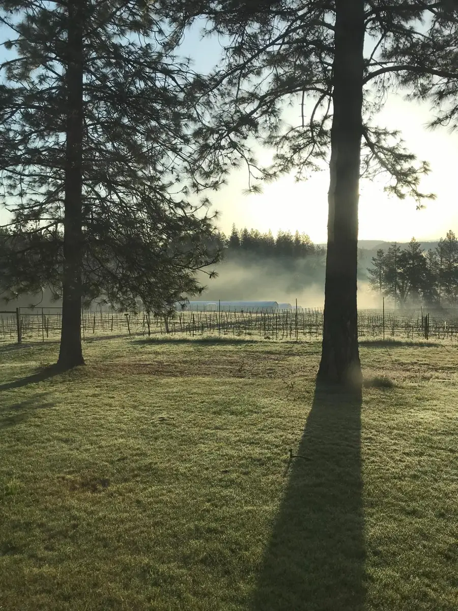 14792 Wabash Avenue, Grass Valley, CA 95945 - #3