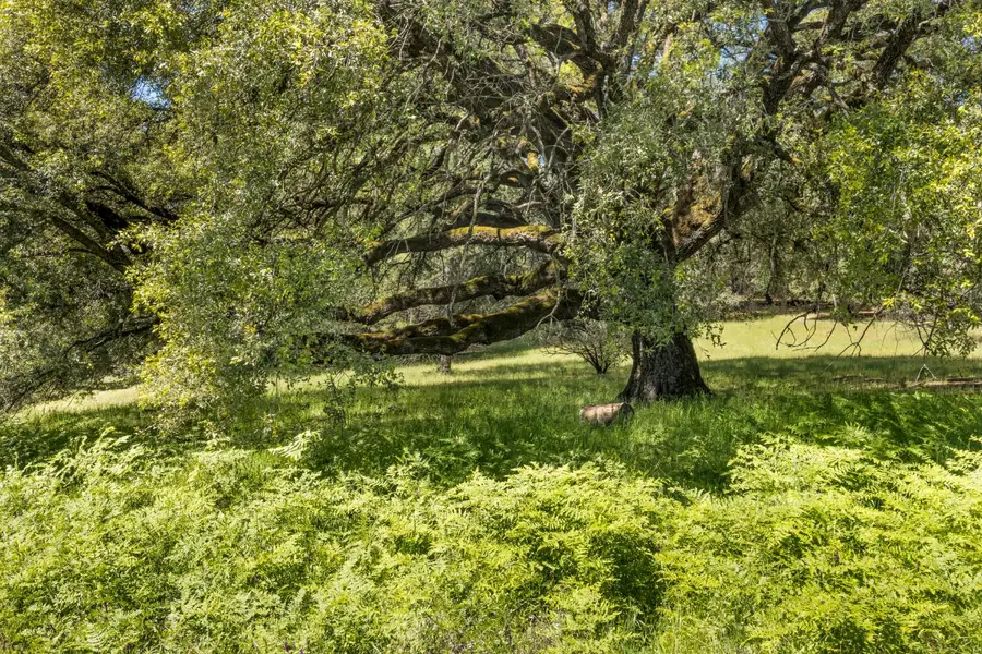 7381 Nutmeg Lane, Placerville, CA 95667 - #2