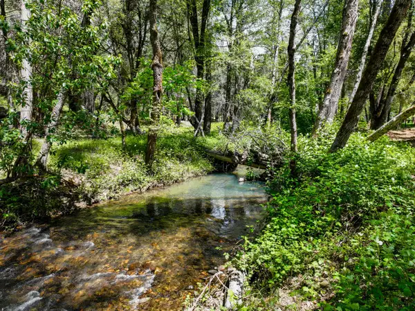 20493 Rector Road, Nevada City, CA 95959