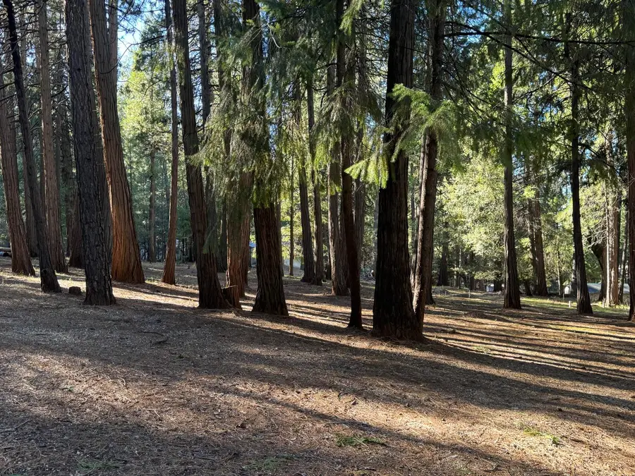 23858 Fiddletown Road, Volcano, CA 95689 - #3