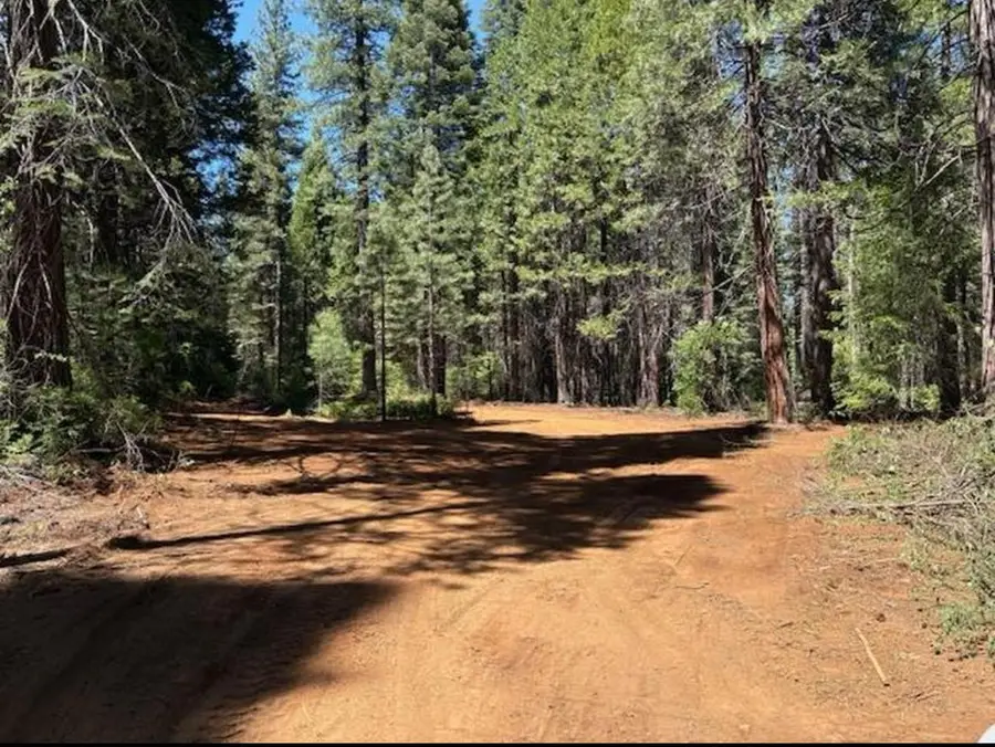 30205 N Bloomfield-graniteville Road, Nevada City, CA 95959 - #3
